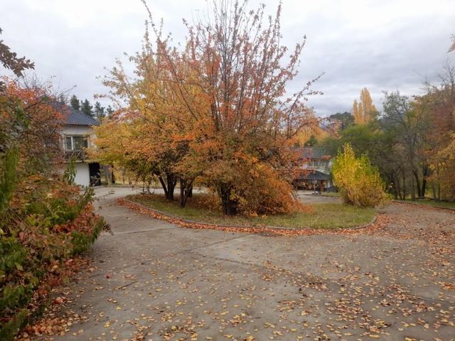place photo 51