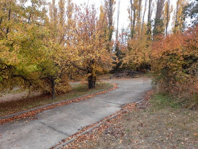 place photo 42