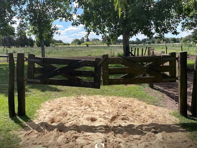 place photo 24