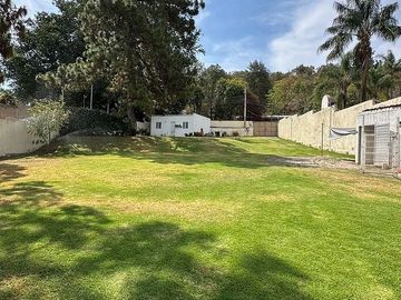 place photo 39