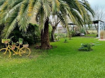 place photo 15