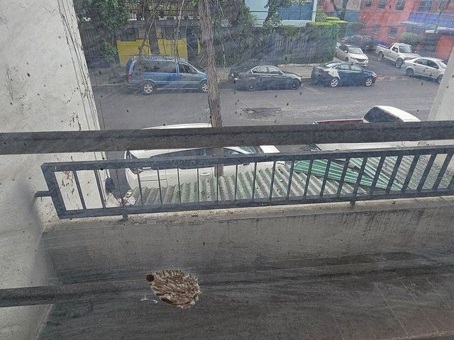 place photo 46