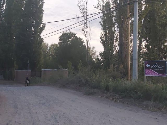 place photo 39