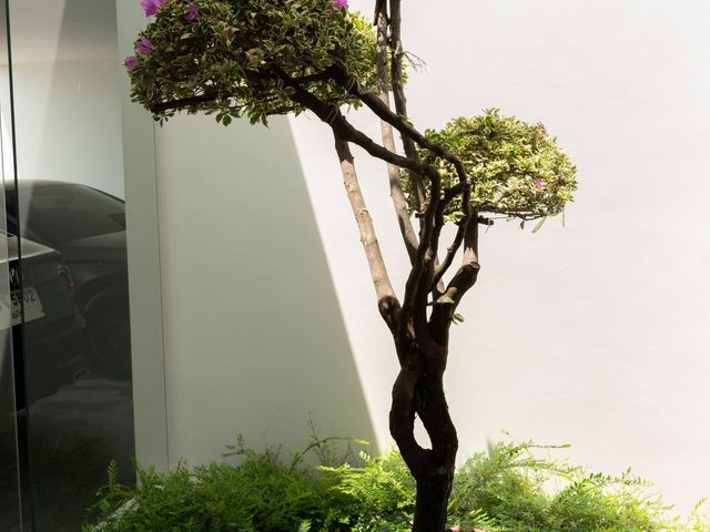 place photo 54