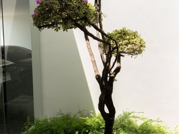 place photo 54