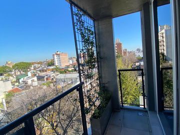 place photo 18
