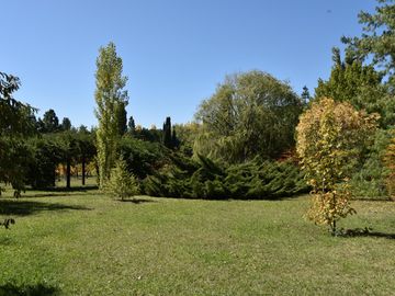 place photo 25
