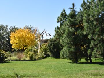 place photo 21