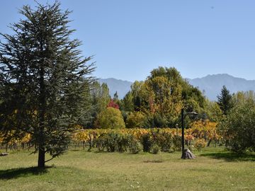 place photo 23