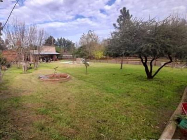 place photo 16
