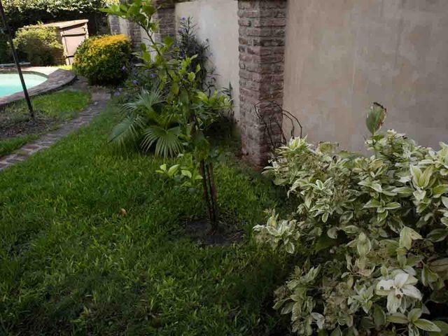 place photo 46
