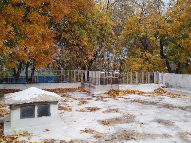 place photo 15