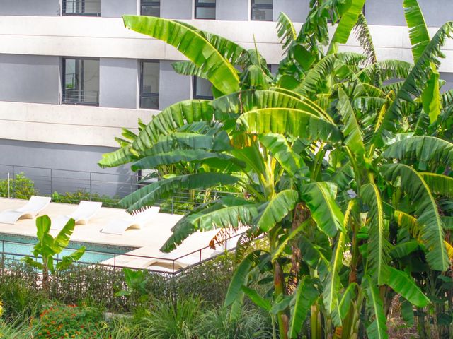 place photo 52