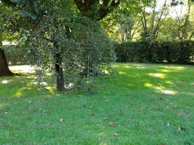 place photo 41