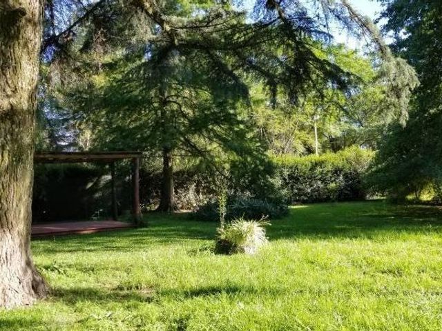 place photo 43