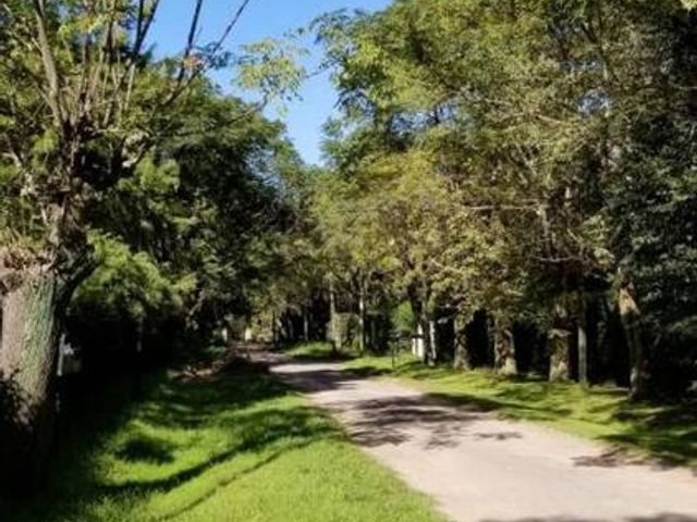 place photo 42