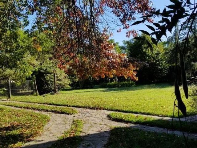 place photo 45