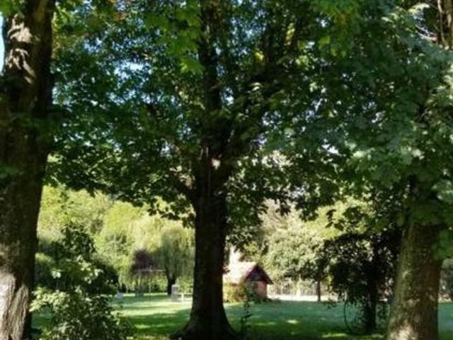 place photo 40