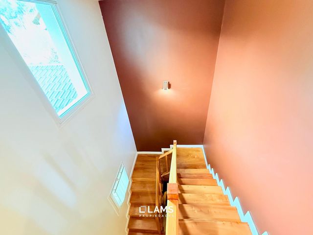 place photo 46