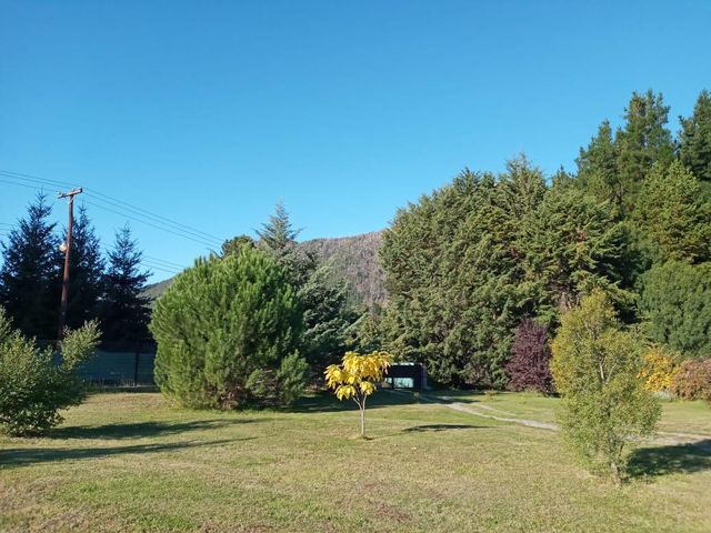 place photo 40