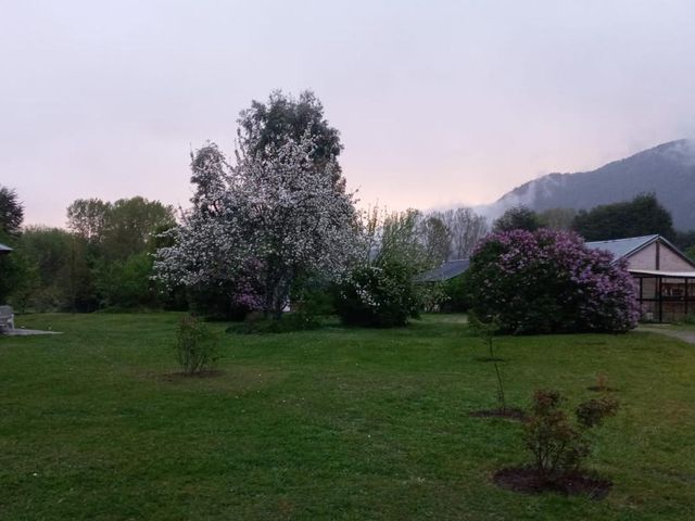 place photo 44