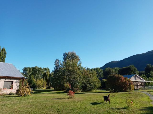 place photo 36