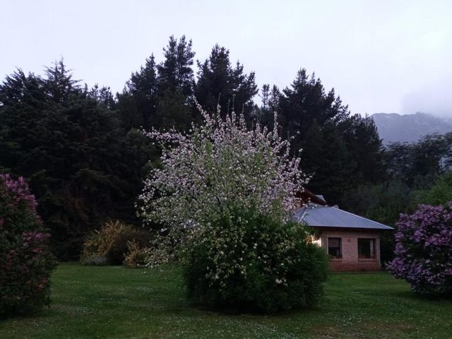 place photo 42