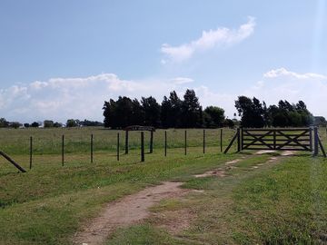 place photo 47