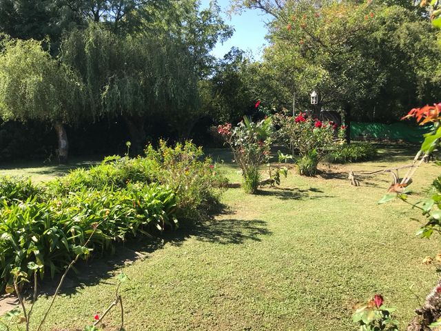 place photo 36