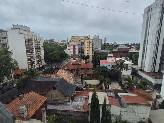 place photo 37