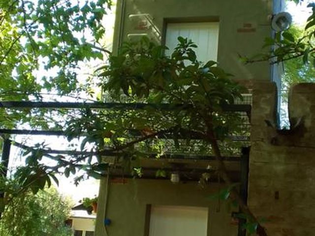 place photo 39