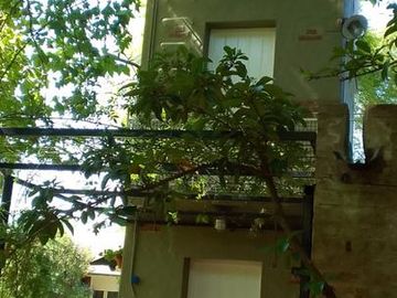 place photo 39