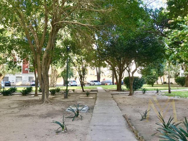 place photo 17