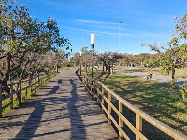 place photo 21