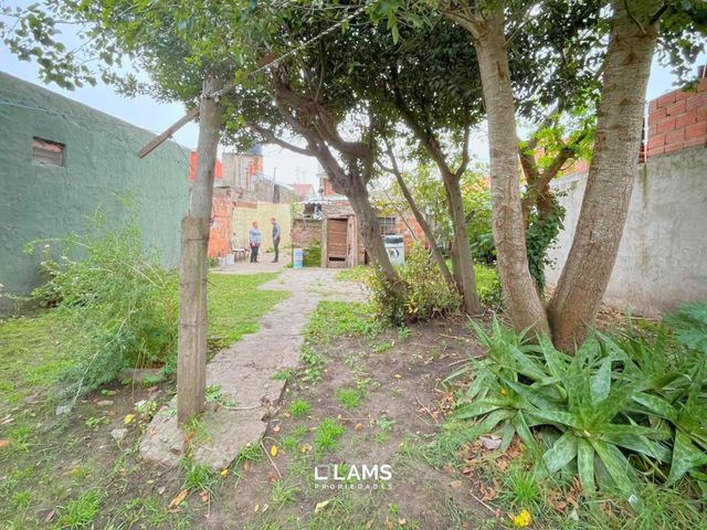 place photo 13