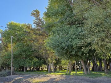 place photo 39