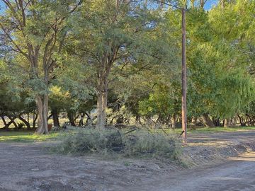 place photo 41