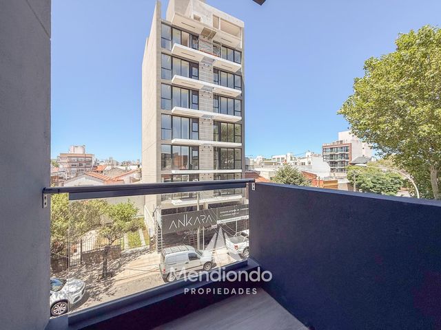 place photo 43