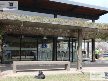 place photo 29