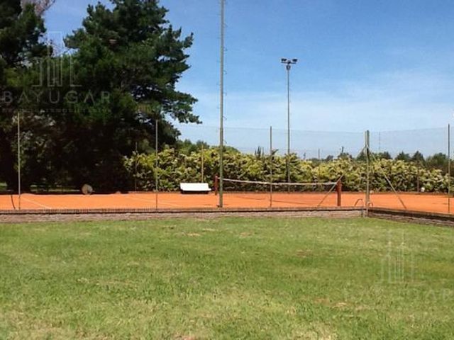 place photo 12