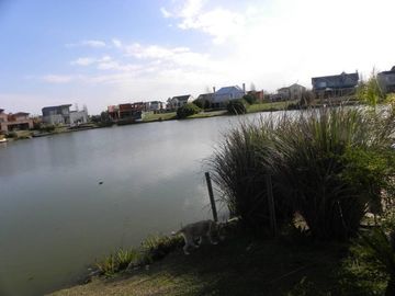 place photo 30