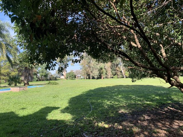 place photo 26