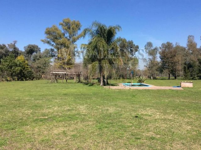place photo 22