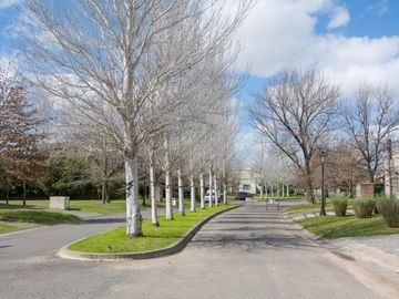 place photo 40