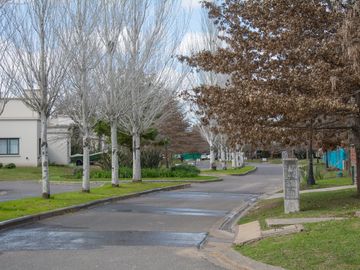 place photo 41