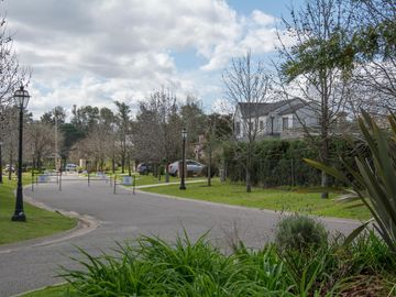 place photo 39