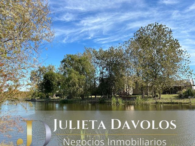 place photo 20