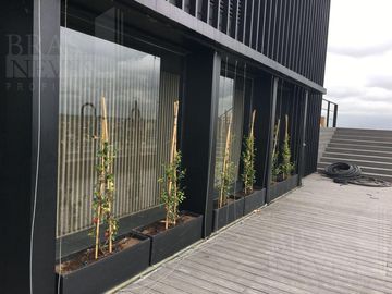 place photo 26