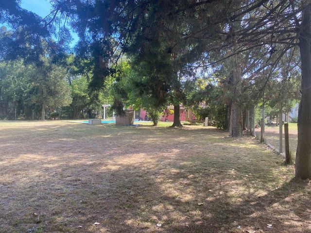place photo 51