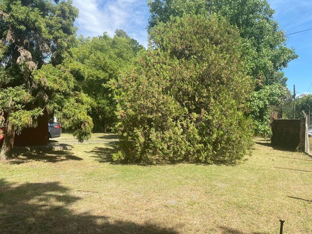place photo 62
